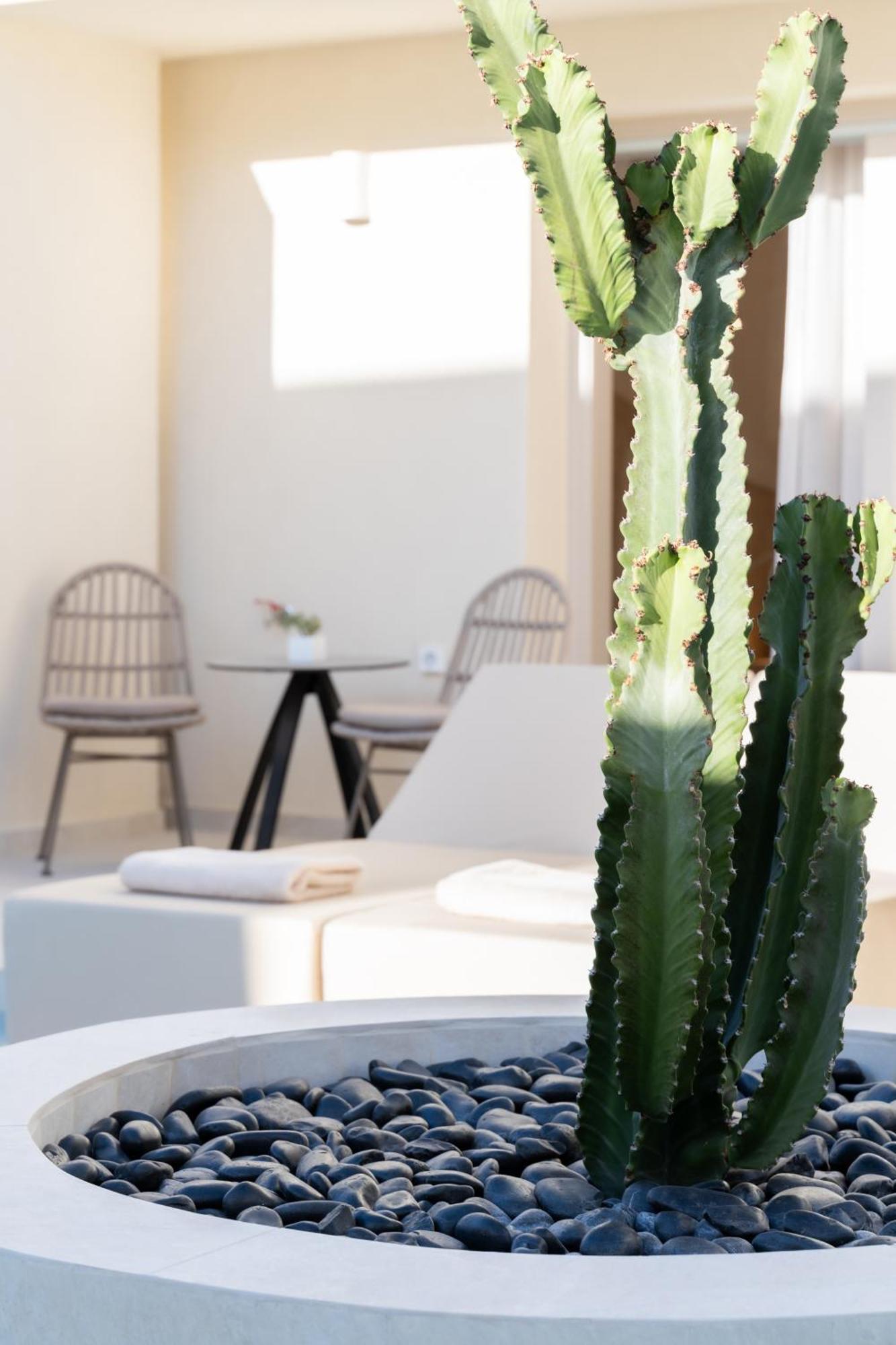 Heyday Luxury Suites بيريسا المظهر الخارجي الصورة